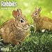 2020 Rabbits Wall Calendar by Bright Day, 16 Month 12 x 12 Inch, Cute Bunny Farm Animal
