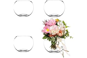 4 Pack Clear Bubble Bowl Glass Vase for Flowers and Weddings