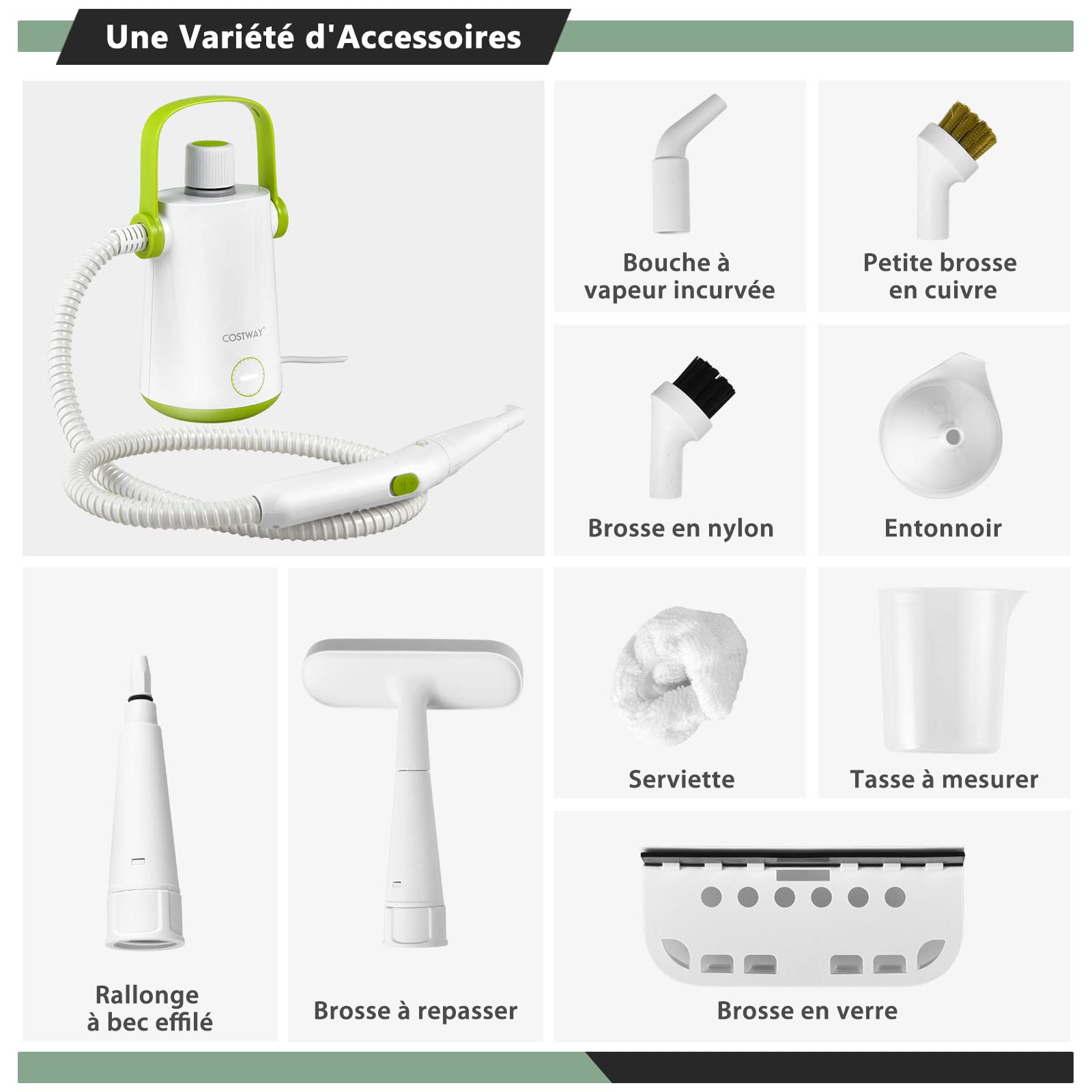 COSTWAY Nettoyeur à Vapeur à Main Portable 1000W avec Réservoir d'Eau de 300 ml, Machine de Nettoyage 10 Accessoires avec tuyau 116CM et cordon 3M, pour Vêtements Vitres Pneus (Blanc + Vert)