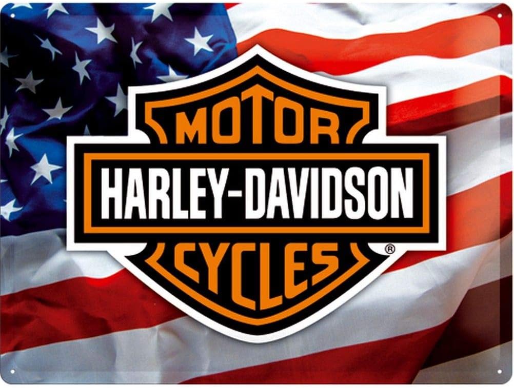 Harley Davidson Flag USA Large Metal Plate