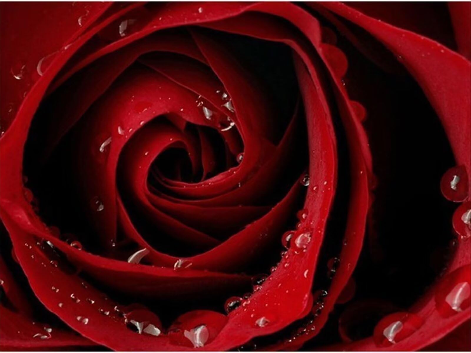 Broderie Diamant Rose Rouge : Kit 5D Grand Format pour Éviter le Stress et Décorer Votre Maison