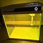 Review Image by sunny