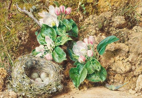 Peinture Pour Décoration Salon Nid d'oiseau Hunt avec Toile Haute Définition 60x90cm