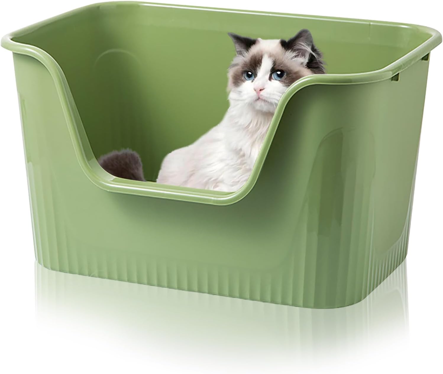 Katzenklo Offen Gro  64x45x33cm Katzentoilette Hoher Rand Ohne Deckel Katzen Klo Cat Litter Box Spritzwassergesch tzt f r Gro e Katzen Kleine K tzchen Toilet XXL Toilette Gr n