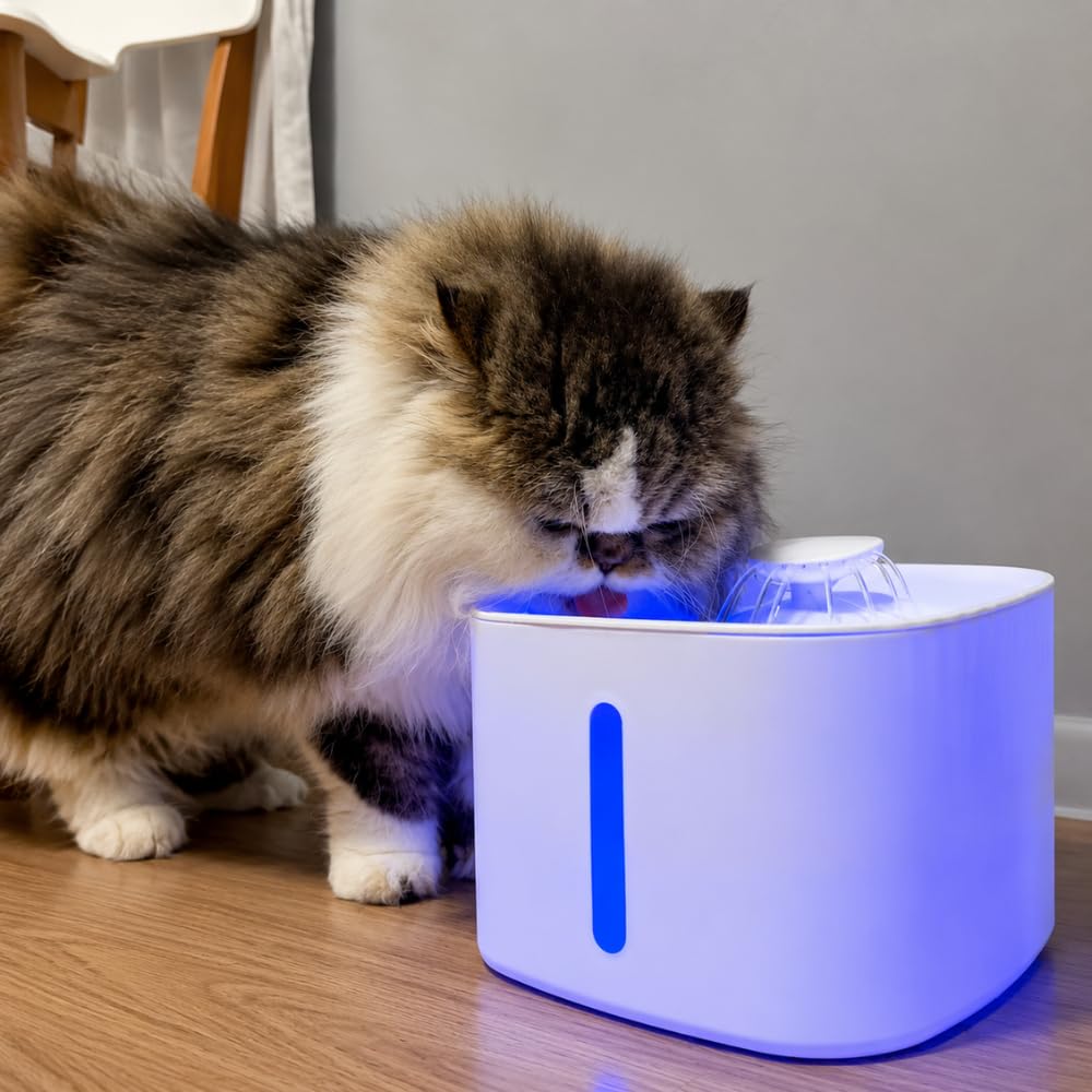 Bebedouro Automático 3L para Gatos e Cães com Filtro | Fonte de Água Pet