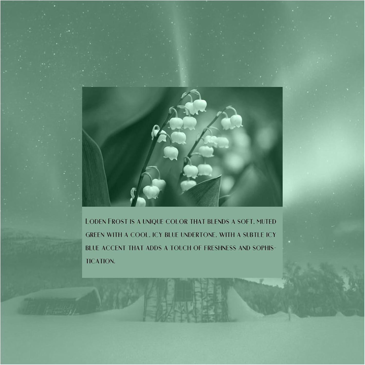 Metronic Poly Mailers 12x15.5 100Pack, Medium Size Shipping Bags for Clothing, Strong Self-Seal Mailers Poly Bags Shipping Envelopes, Thick Mailing Bags Package Bags for Small Business Packing, Green - Image 8