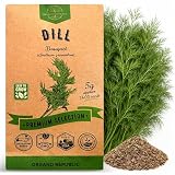 Organo Republic Dill Bouquet Seeds Pack 5 G - Over 1,400 Non-GMO Heirloom Dill Seeds for Planting Herbs in Individual Seed Packet, Herbs Seeds for Planting Home Garden Indoor & Outdoor Gardening