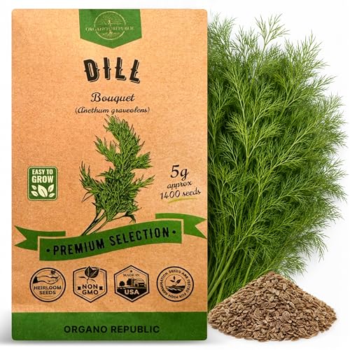 Organo Republic Dill Bouquet Seeds Pack 5 G - Over 1 400 Non-GMO Heirloom Dill Seeds for Planting Herbs in Individual Seed Packet Herbs Seeds for Planting Home Garden Indoor & Outdoor Gardening