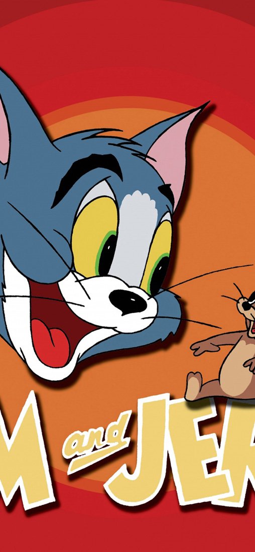 PeelitStickit 60 Width x 130 cm Height Tom and Jerry Vinyl Wall Mural