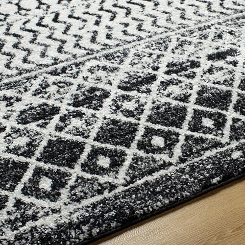 Artistic Weavers Chester Boho Moroccan Area Rug,10' x 13',Black