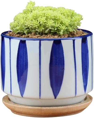 Miniatura 3 de GeLive Maceta de cerámica para suculentas de 3 pulgadas, maceta de cactus, contenedor de flores con bandeja de goteo de bambú, para interiores y