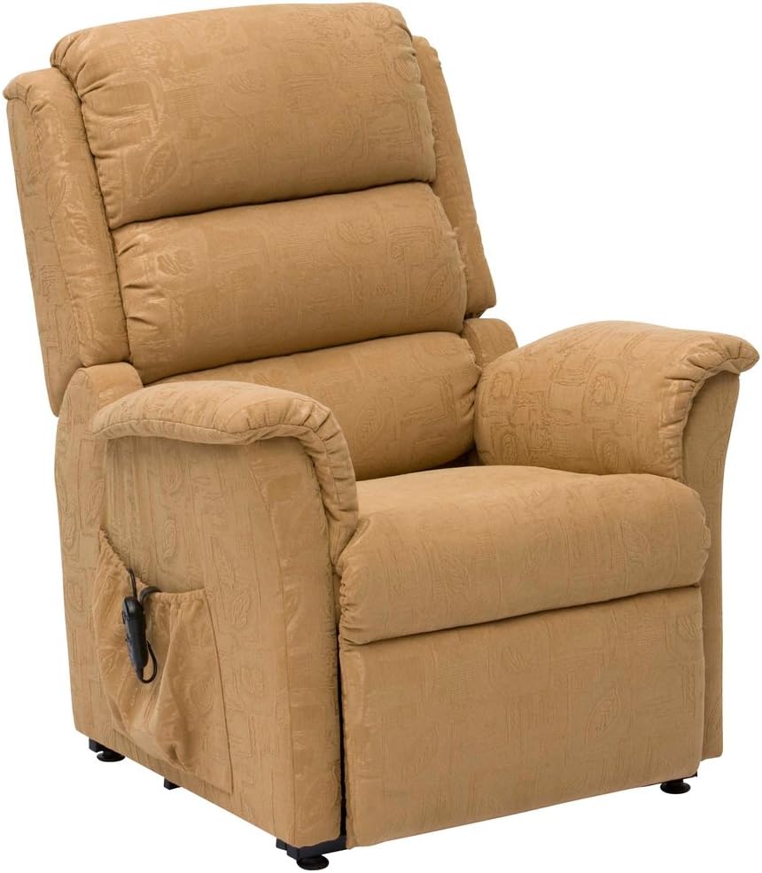 Drive DeVilbiss Nevada Standard and Petite Power Recliner Chair Dual