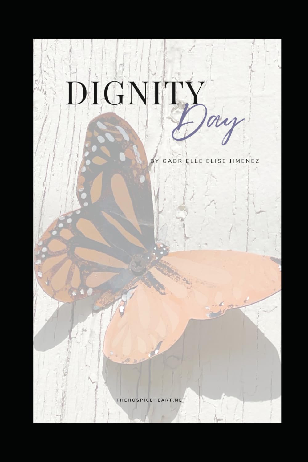 Dignity Day: A guidebook for anyone searching for comfort and clarity relative to the end-of-life medications