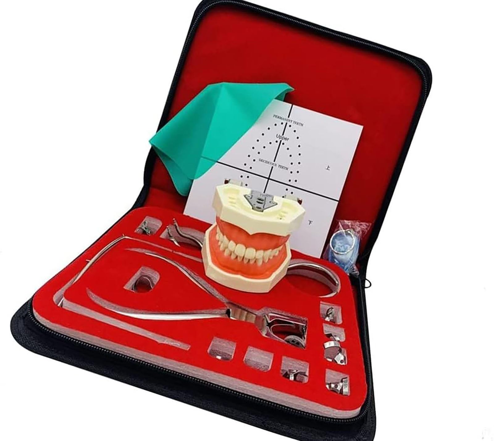 Zestaw gumowej zapory dentystycznej do endodoncji, z modelem zębów dentystycznych, ramkami zaciskowymi do pozycjonowania płytek
