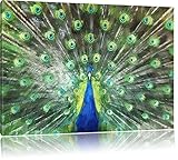 Pour chaque image, vous obtenez un support mural gratuit. Ce métal -Zackenaufhänger Vous pouvez facilement monté sur le cadre en bois. points de pré-marqués facilitent le positionnement. Ils peuvent votre nouvelle photo de toile accrocher rapidement sur le mur et profiter. Nous livrons tous les produits en Allemagne dans 2-3 jours ouvrables. L'image sera bien emballé dans du papier bulle et étiqueté bande d'avertissement rouge pour assurer une protection optimale en transit.