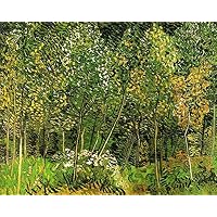 Amazon.co.jp: 8枚の絵画 森の中の小道 ヴィンセント・ファン・ゴッホ