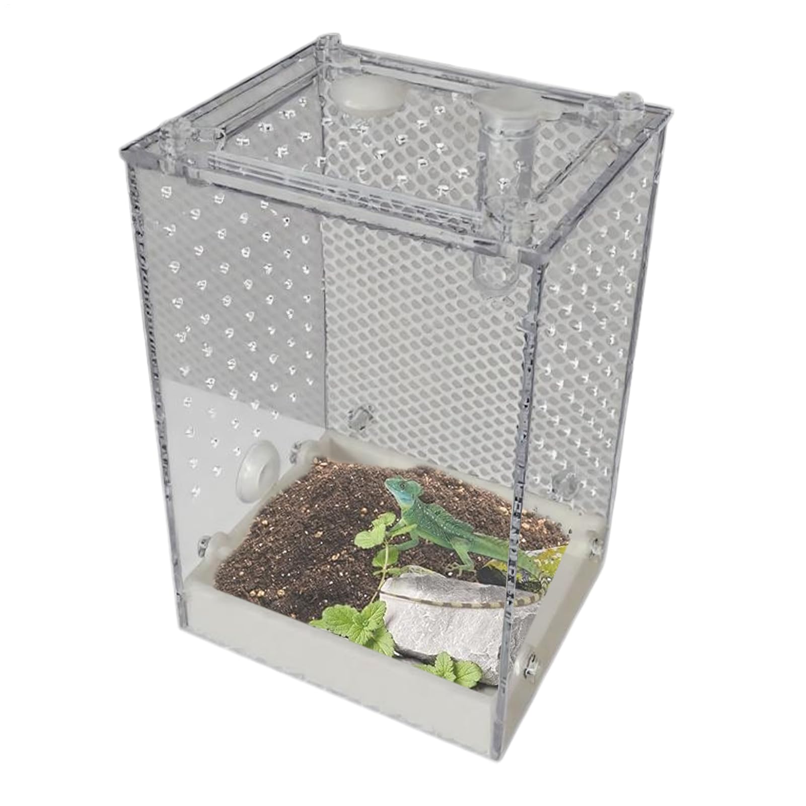 Caja de reproducción para arañas de salto, jaula de insectos y hábitat transparente de reptiles