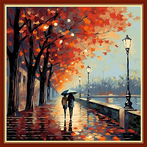 Image of Foxhool Beginners Cross Stitch Kits Stamped Full Range of Embroidery Kits for Adults DIY Cross Stitches kit Embroidery Patterns for Needlepoint kit-Strolling on a Rainy Night 17.7x17.7 inch