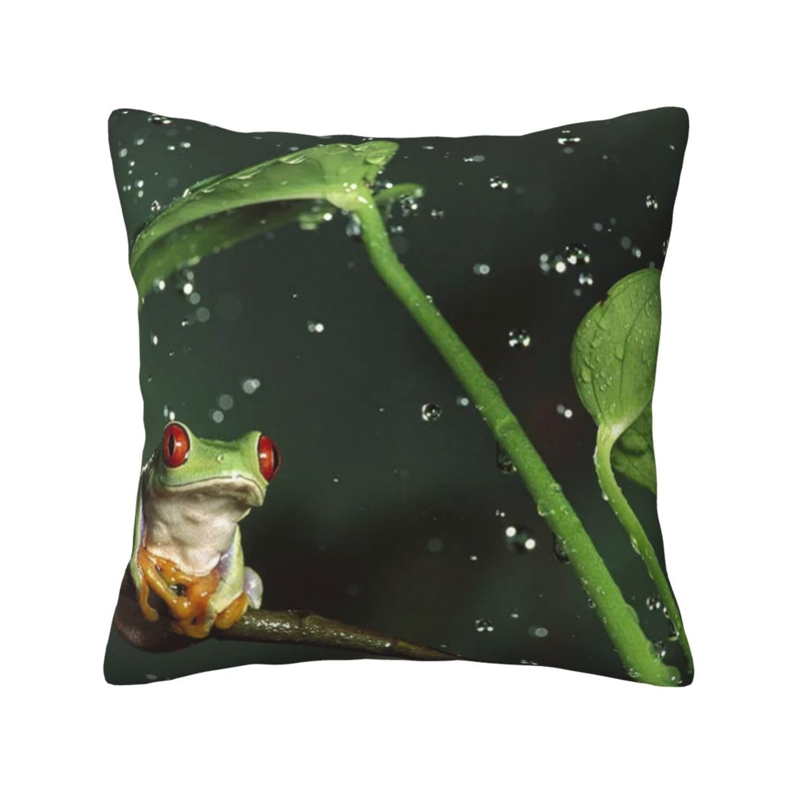 FFSHKOWE Peace Tree Frog Decorative Throw Pillow Cover Double-Sided Printed Cushion Cover for Sofa Couch Bed Chair 30 x 30cm