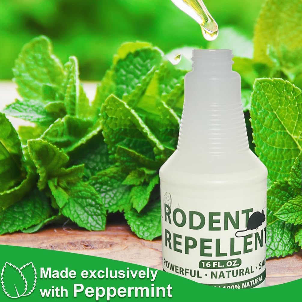 Rodent Repellent Sprays, Peppermint Oil Spray for Mice, Rat Repellent Spray, Natural Spray for Indoor & Outdoor Use, Rat Deterrent, Mouse Control for House Home Attic Kitchen Car Engines RV, 16Oz - Image 2