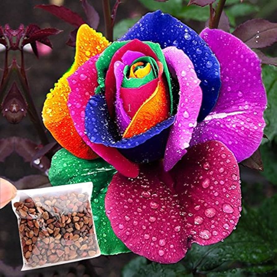 PSA10 ルギアEX Les belles fleurs PSA10 ルギアEX Les belles fleurs PSA10 ルギアEX Les belles