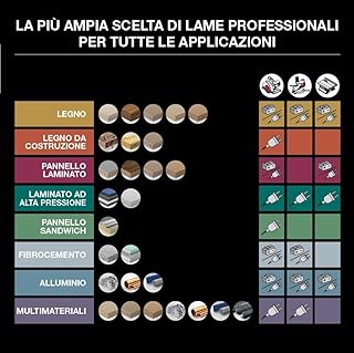 Freud - Set di 2 Lame per sega circolare da banco portatile per legno, Diametro D=250 mm, Foro d=30 mm, 24 e 40 denti ATB in Metallo Duro HW TiCo, spessore di taglio 2.8 mm - FR23S001T - F03FS09894