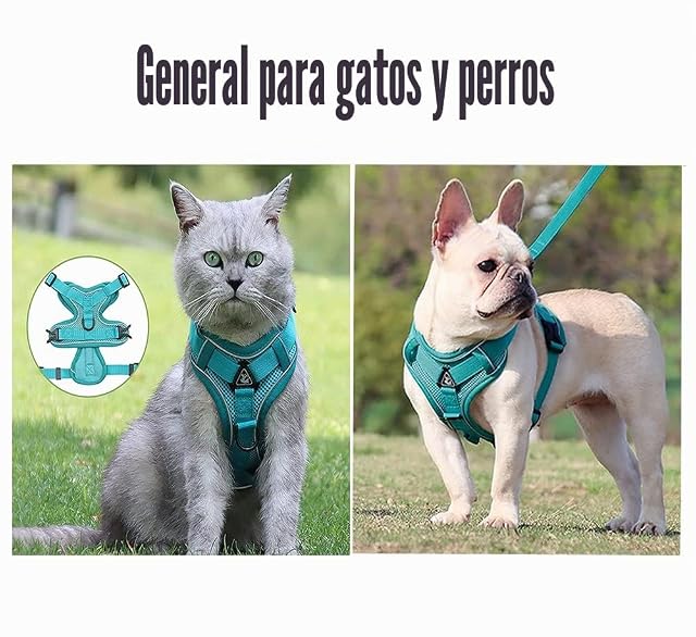 Foto 6 de 7 de Arnés Antitirones Reflectante con Asa y Correa para Perro Grande Mediano