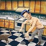 anticonstitutionnellement  Wrong Faced Cat Feed Collapse