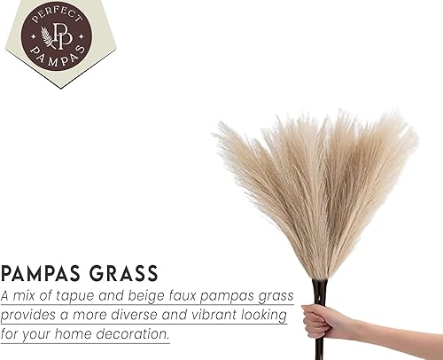 Miniatura 4 de Decoración de hierba de pampa de lujo, 8 tallos, decoración marrón cacao de 18 pies, decoración de hierba para decoración del hogar, plantas de