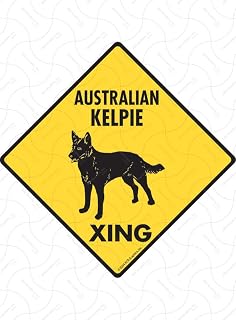 Warning! Australian Kelpie Xing Sign - Caution Australian Kelpie Crossing Sign (6" x 6") - Exterior Rust Free Aluminum Pet Dog Sign with Weatherproof and UV Protection - Beware of Yard Sign - 6" x 6"