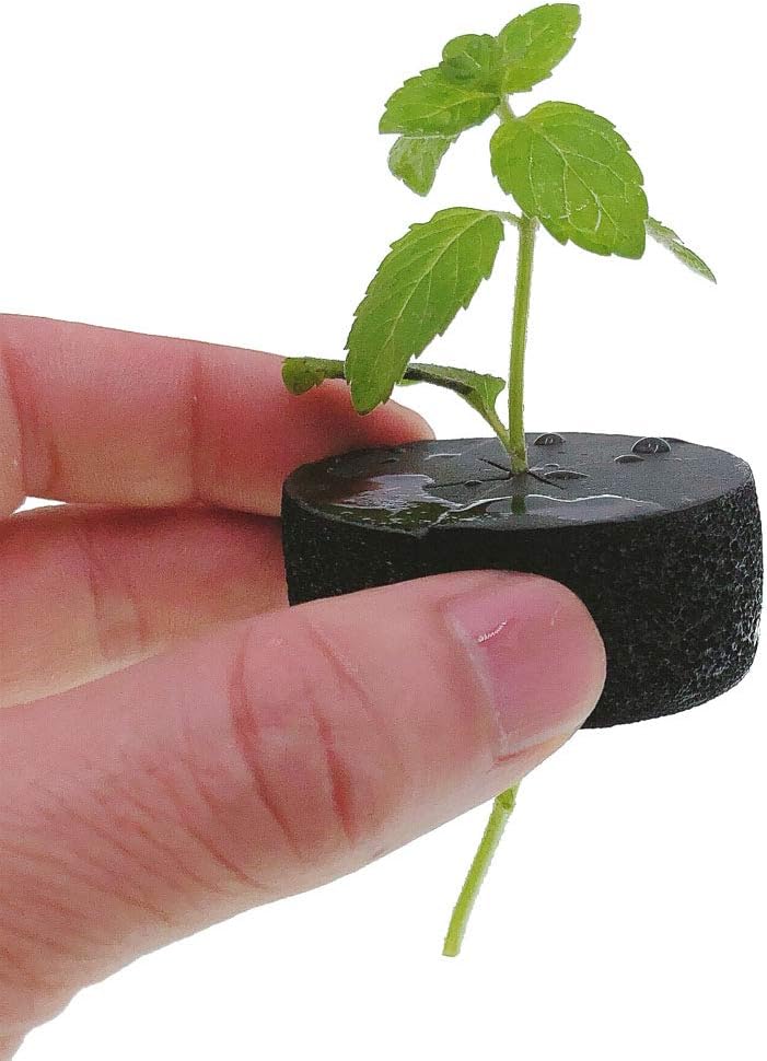 2 Inch Neoprene Inserts Soft for 2 inch Net Pots (3/4 inch High, Soft-Black) Pack of 30