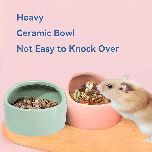 Miniatura 3 de JSLZF Cuenco de cerámica para hámster, pequeño tazón de comida para ratas, plato para hámster evita que se golpee, salpicaduras de alimentos y