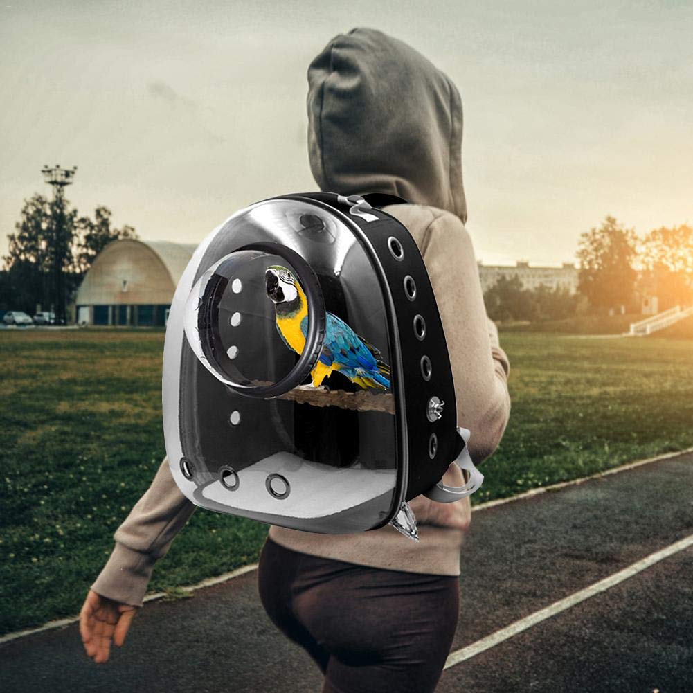 Mochila de transporte para loro, cápsula de espacio transparente