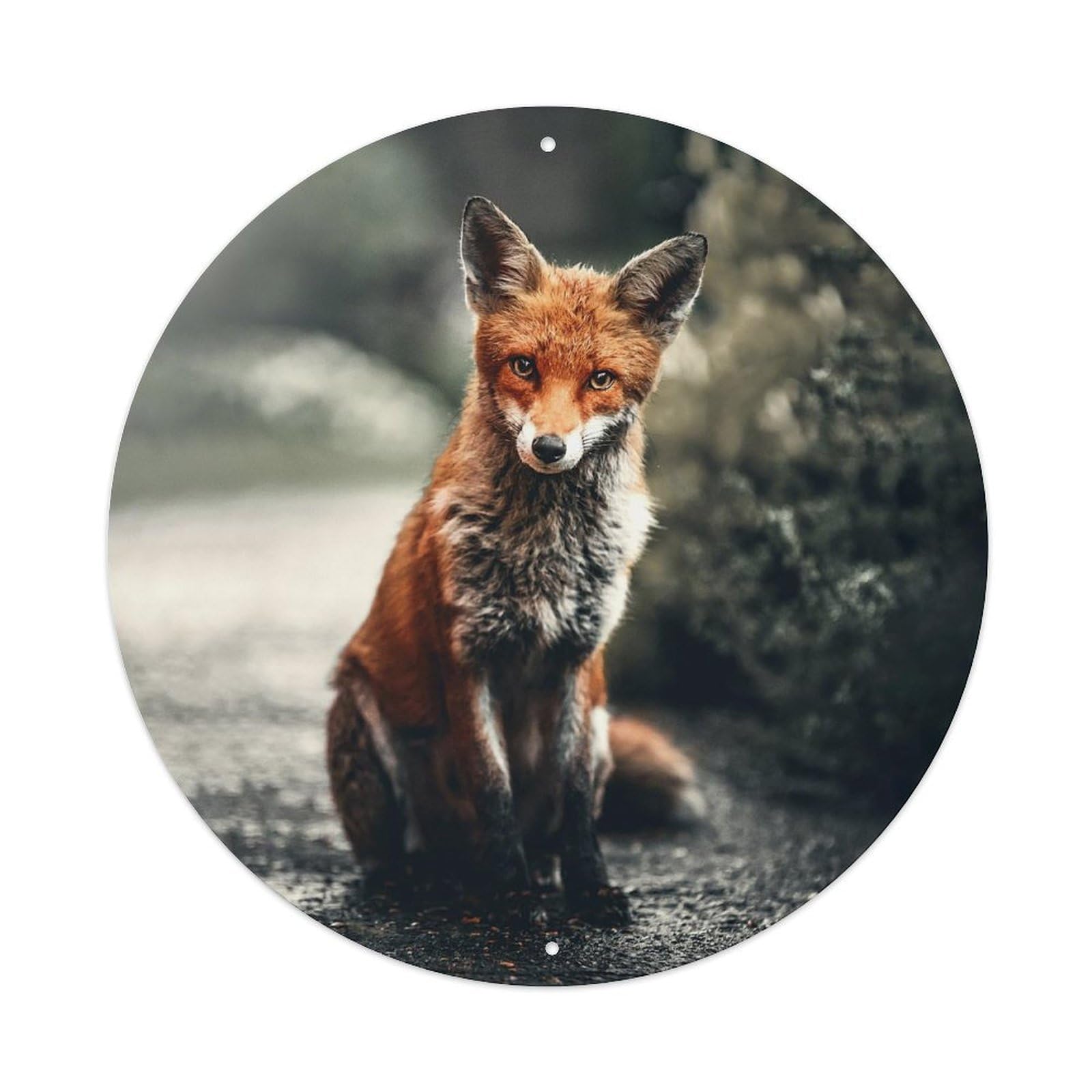 Red Fox Woodland Wildlife Animal Vintage Metal Tin Sign