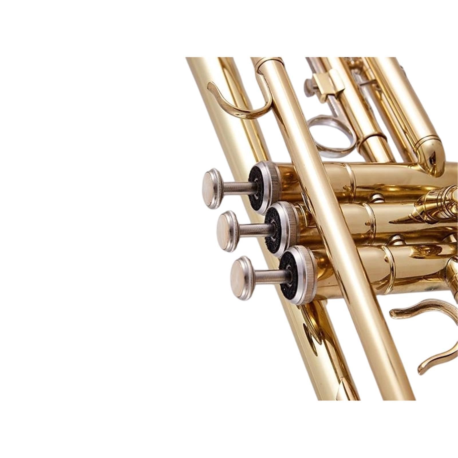 Professional Trumpet Trompeta en si bemol para principiantes