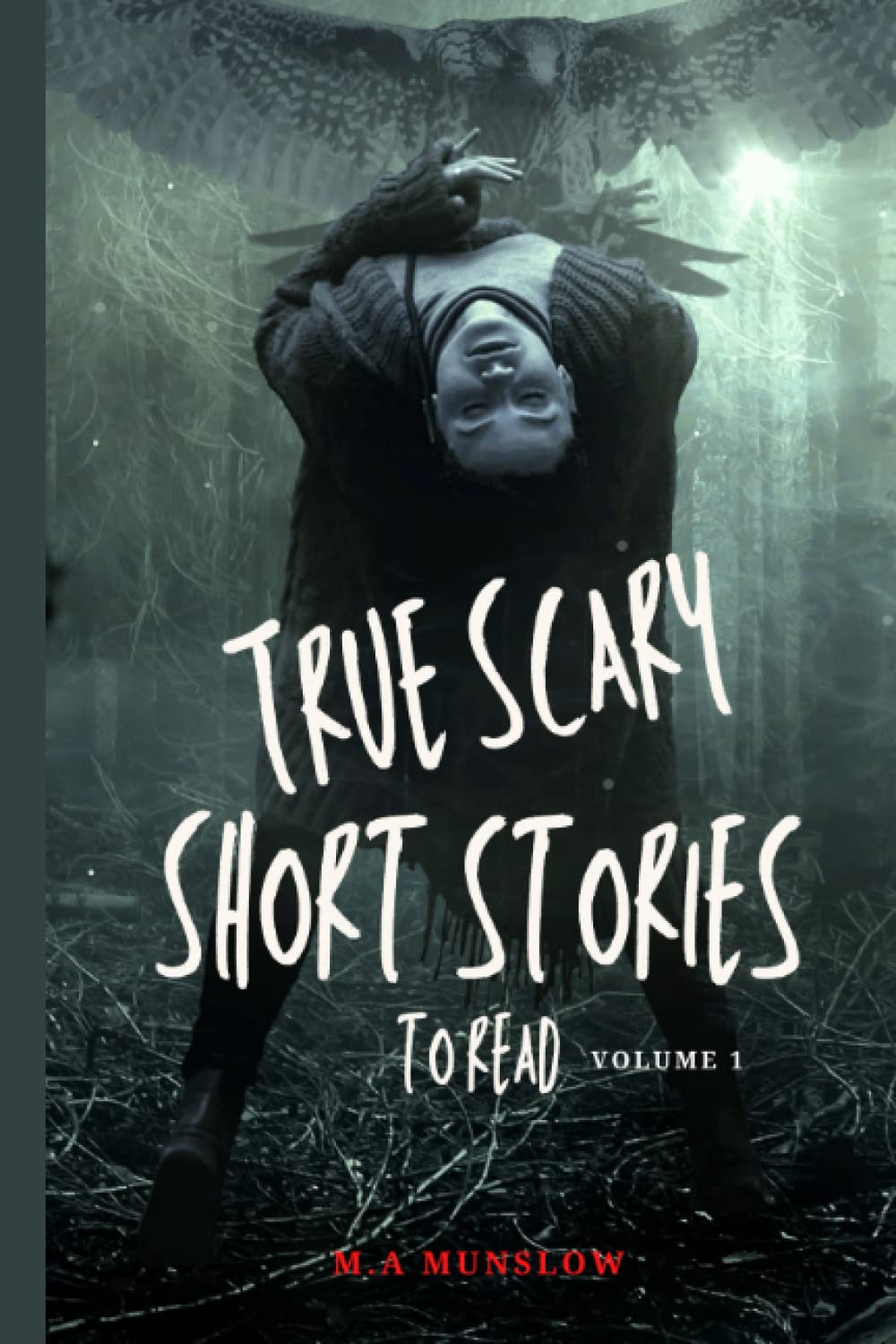 True Scary Short Stories to Read: Collection of Short True Horror Stories (Volume 1) (True Scary Short Stories Series)