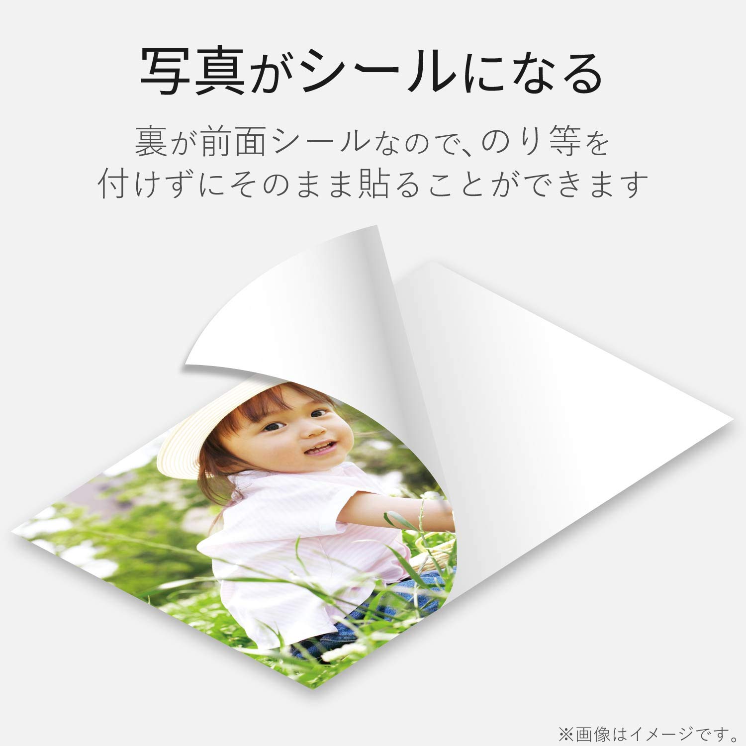 【まあり】 写真Ｌサイズ kp240_t1.jpg