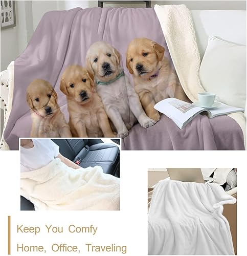 Miniatura 3 de Sleepwish Golden Retriever - Manta de forro polar para perros y cachorros, manta suave de sherpa para niños y niñas (tamaño individual, 60 x 80