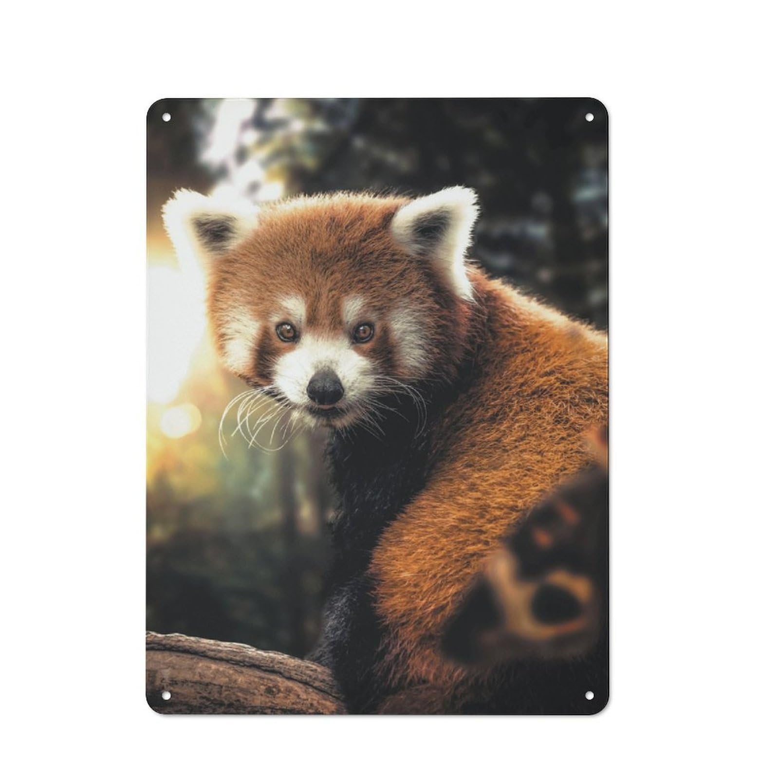 Junmoney The Red Panda Metal Plaque 40X30cm With For Pub Or Café, Rustic Decor, For Pub Decor Enthusiasts