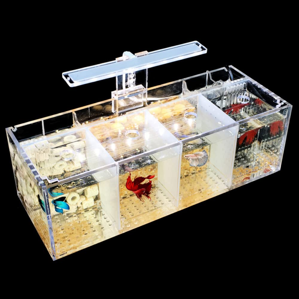 Siqi Betta Fish Tank Materiale acrilico Mini Desktop Aquarium Goldfish Mini Fish Tank Stanza di isolamento per pesci malati, con filtro per pompa dell'acqua, illuminazione (4 spazio reticolo)