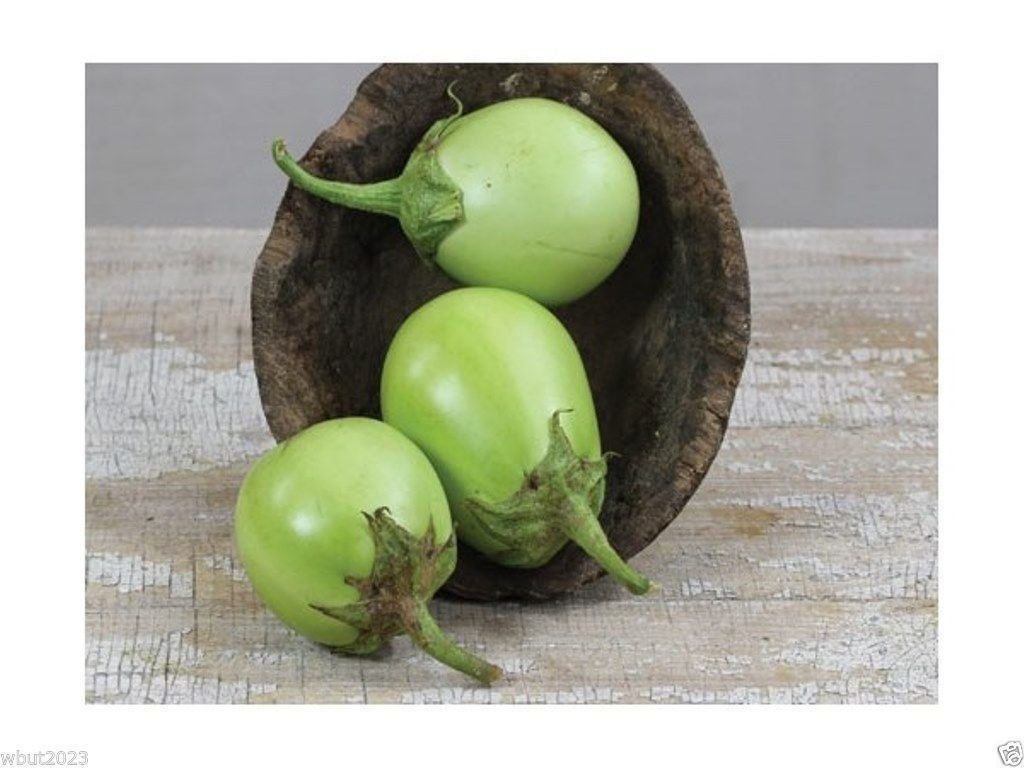 Apple Green Eggplant -No need to peel (100 Seeds) Extra-early, Very productive !