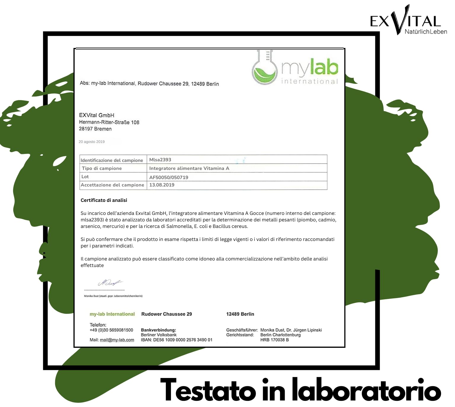 Vitamina A in gocce di EXVital – 5000 UI (1500 µg) per dose giornaliera, 50 ml = 1700 gocce, testata in laboratorio, retinolo ad alto dosaggio – vegana – vitamina A liquida