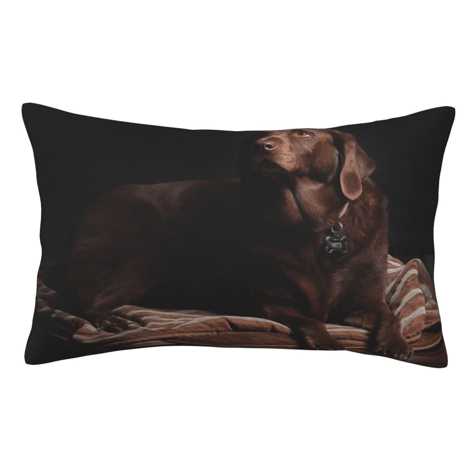 Soft Plush Pillow Cover For Sofa & Bed, Brown Labrador, Standard Furry Throw Pillow Case 35x50 cm, Decorative Cushion Cover For Bedroom Living Room Decor, Hidden Zipper Pillowcases For All Seasons