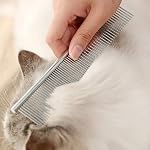 5 Pieces Dog Grooming Scissors Kit Stainless Steel Pet Cat Grooming Kit for Dogs Cats Pets Professional 5 in 1 Hair Scissors Set with Curved Scissor, Thinning Shear, Comb (Blue)