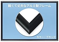 Vista 2 de Panel de destello del panel de sierra de calar B-031/3 (10.2 x 15.0 in) 3 de Beverly