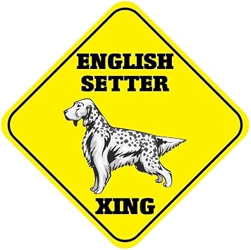 Metal Sign 12x12 inches English Setter Xing Crossing Funny Metal Aluminum Novelty Sign