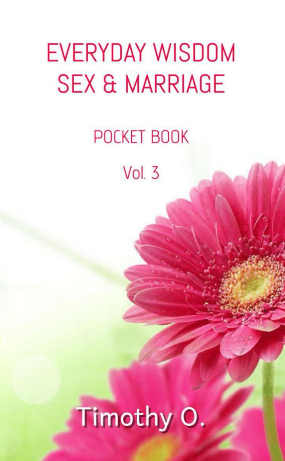 Your Everyday Wisdom Sex and Marriage Vol 3