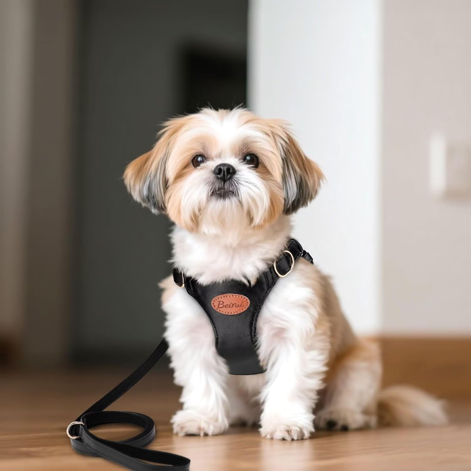 Beirui ‌Stylish PU Leather Dog Harness‌ and Leash Set for Small Dogs, ‌Adjustable Step in Puppy Harness with Breathable Mesh Lining and Durable Metal Buckle for Walking Traveling(Black,XS)