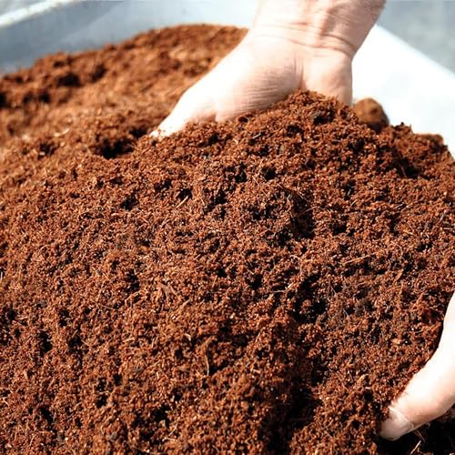 Image of Grow Rich Premium 2-Pack 1 kg Cocopeat Blocks - Boost Your Garden with 100% Natural Eco-Friendly Cocopeat for Home, Hydroponics, and More - Brown