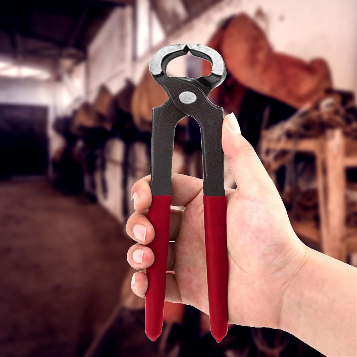 CDIYTOOL 8PCS Horse Farrier Hoof Trim Tool Kit, Include Horseshoe File, Horseshoe File Handle, Horse Hoof Trimmer, Horse Shoe Cutting Pliers, Horseshoe Brush(Random Color) Etc : Pet Supplies